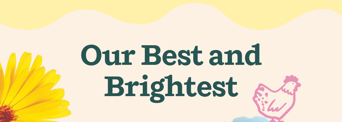 Our Best and Brightest