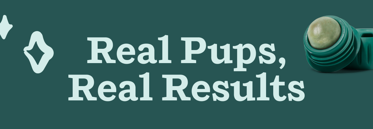 Real Pups, Real Results