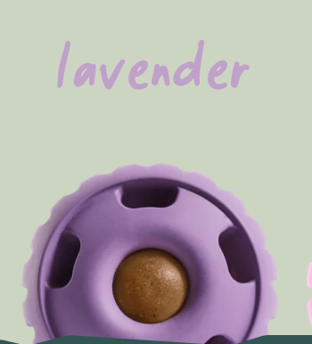 Lavender