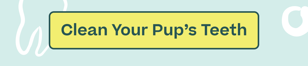 Clean Your Pup's Teeth