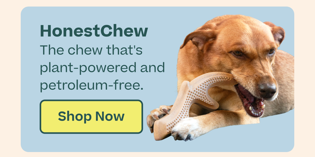Shop HonestChew