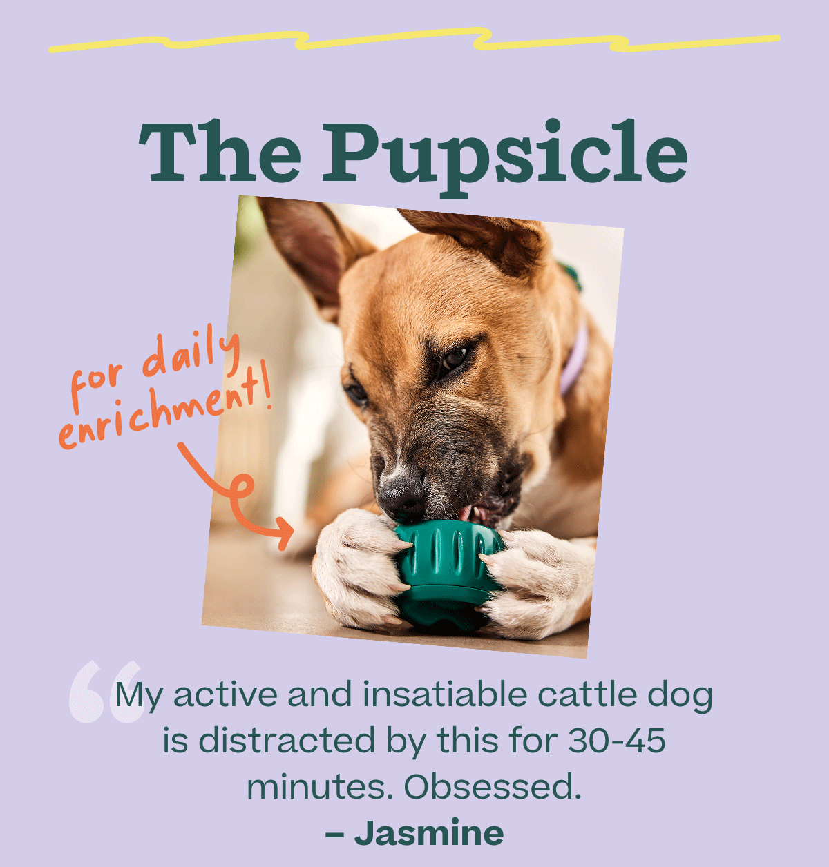 The Pupsicle | for daily enrichment | "My active and insatiable cattle dog is distracted by this for 30-45 minutes, Obsessed."- Jasmine