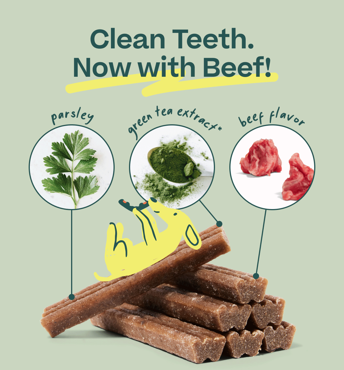 Clean Teeth Now with Beef!  | parsley | green tea extract | beef flavor
