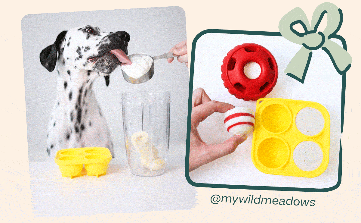 Woof | Holiday Pop Recipe - Candy Can Pops