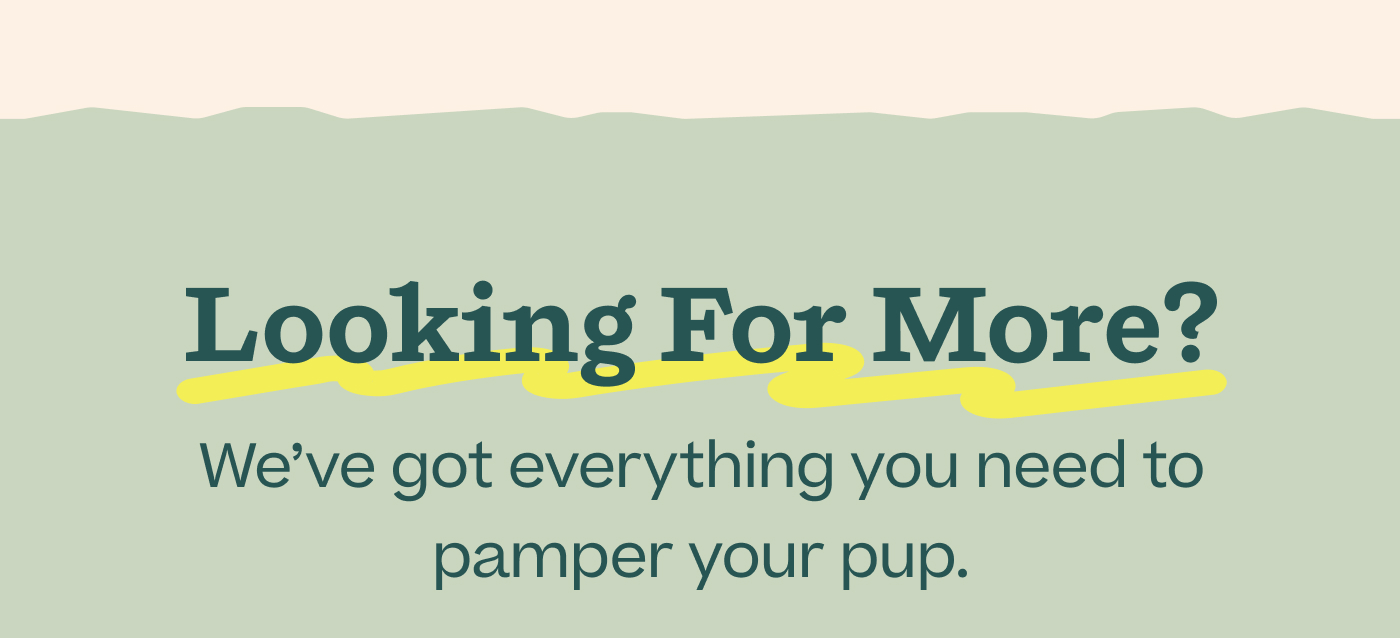 Looking for More?  We've got everything you need to pamper your pup.