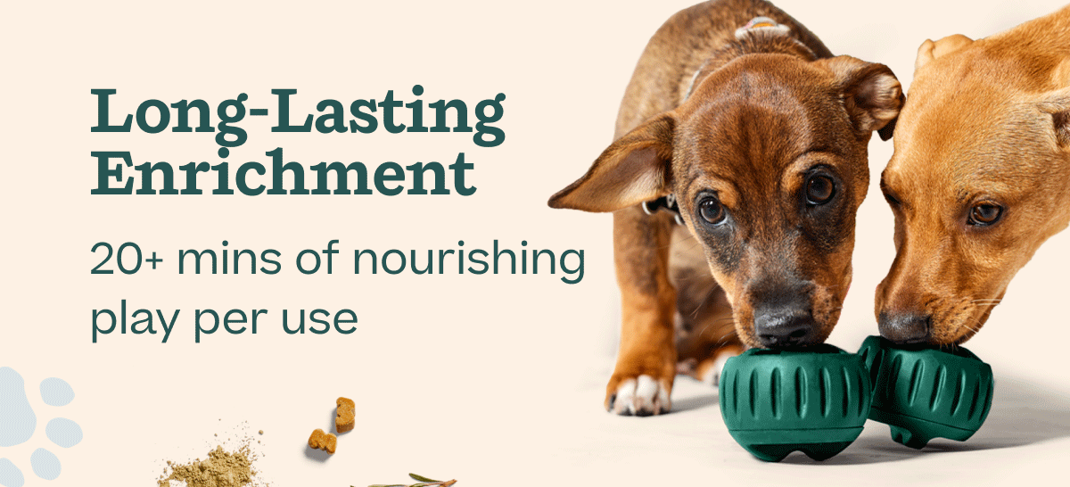 Long Lasting Enrichment | 20+ mins of nourishing play per use