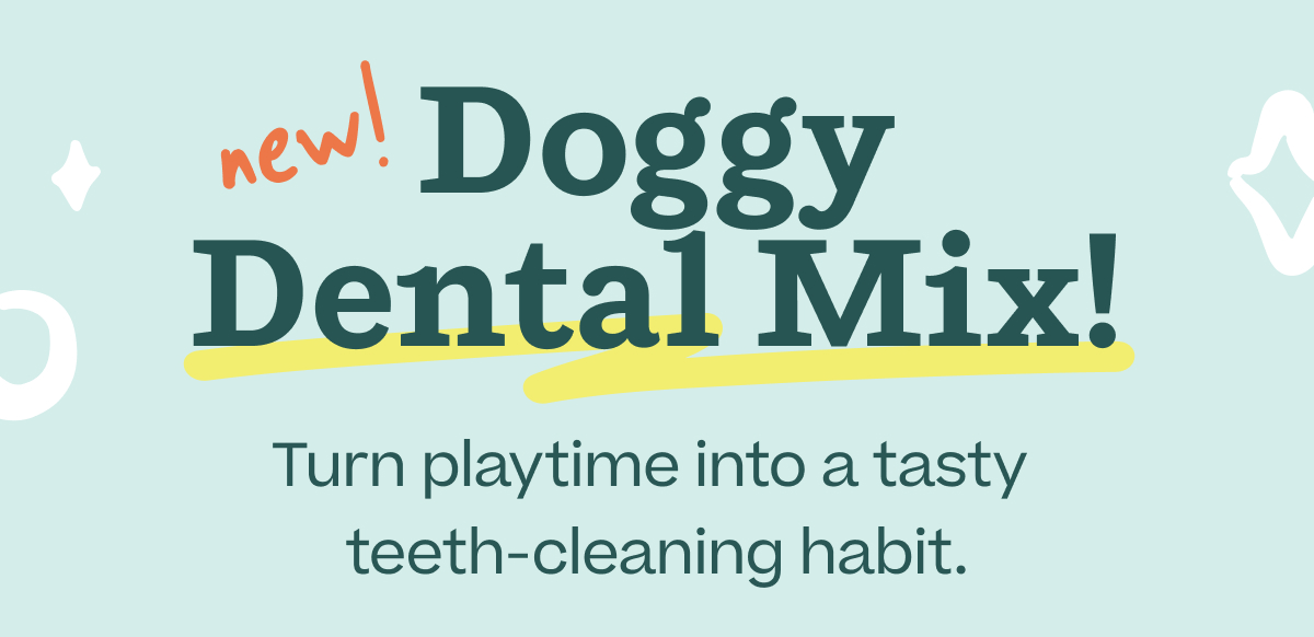 20% Off new! Doggy Dental Mix! Turn playtime into a tasty teeth-cleaning habit.