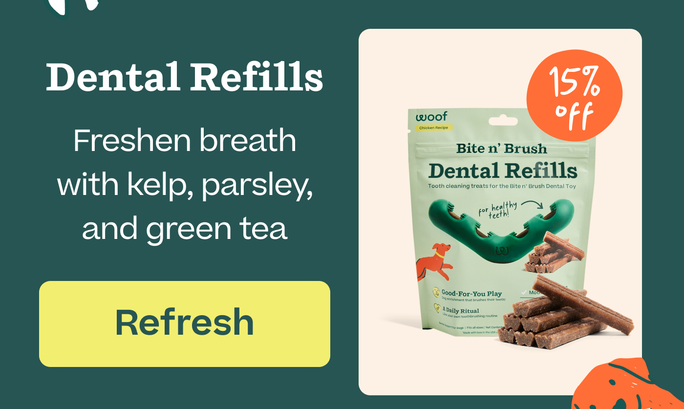 Dental Refills. Freshen breath with kelp, parsley, and green tea  |  Refresh