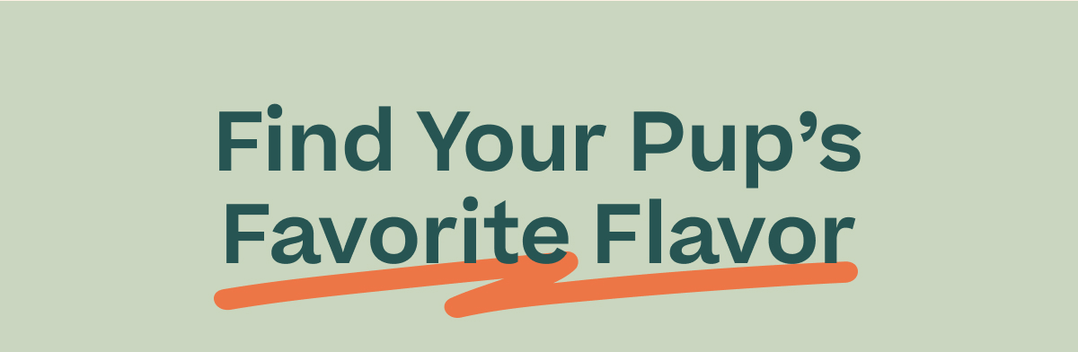 Find Your Pup's Favorite Flavor