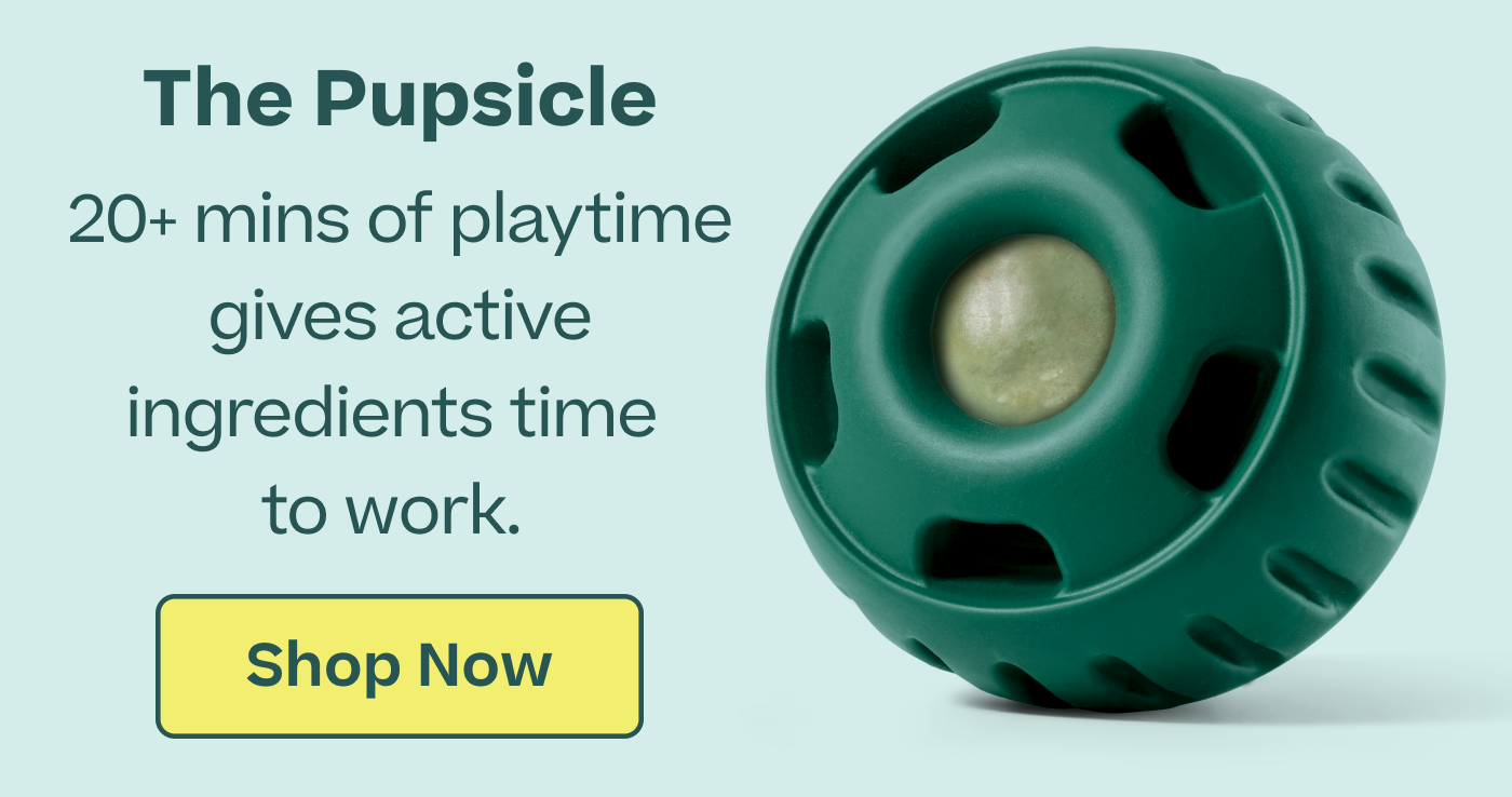 The Pupsicle | Shop Now