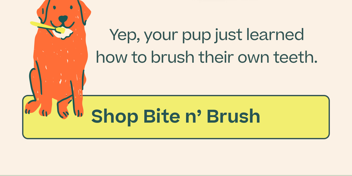 Yep, your pup just learned how to brush their own teeth.  |  Shop Bite n' Brush