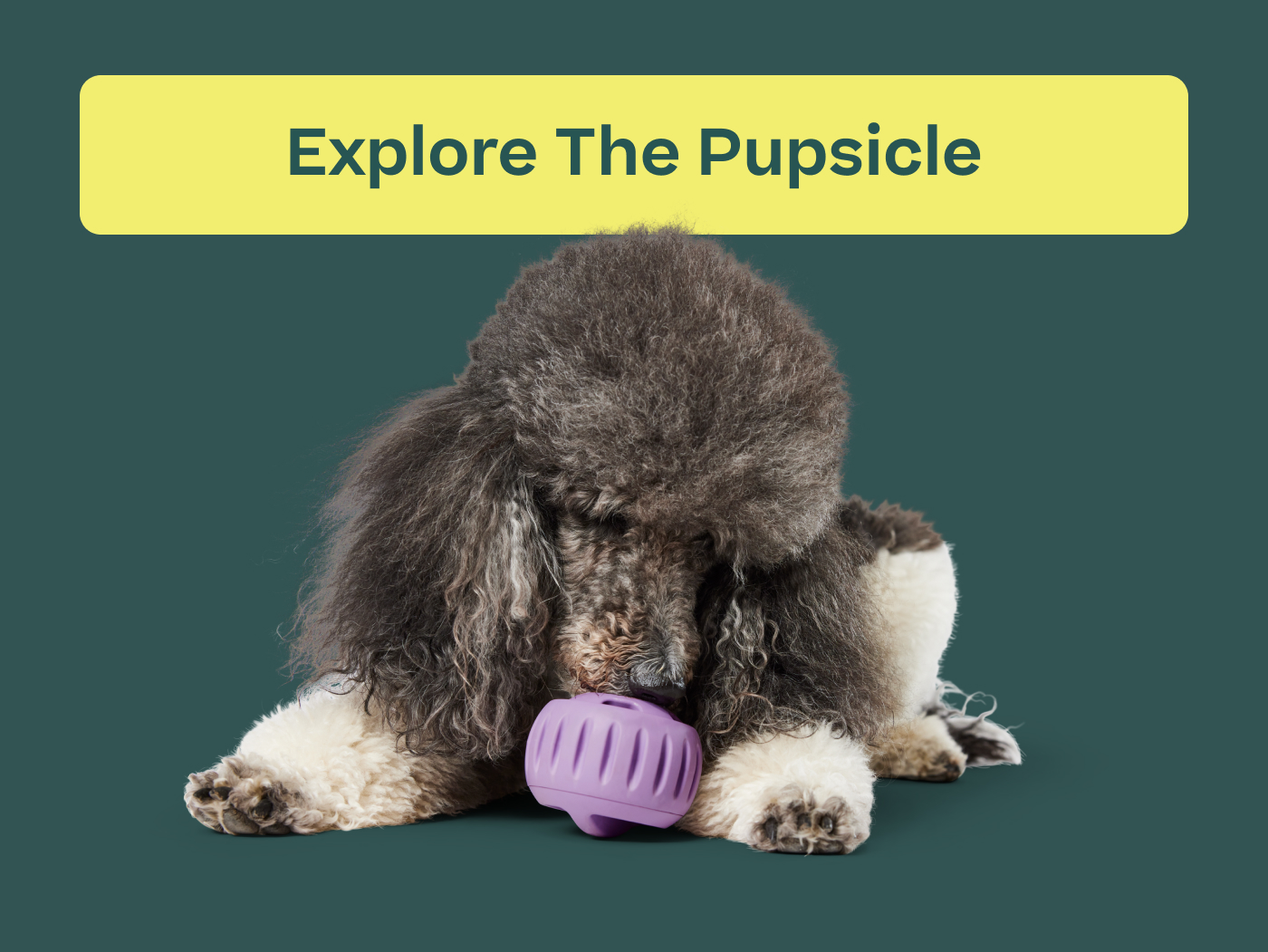Explore The Pupsicle