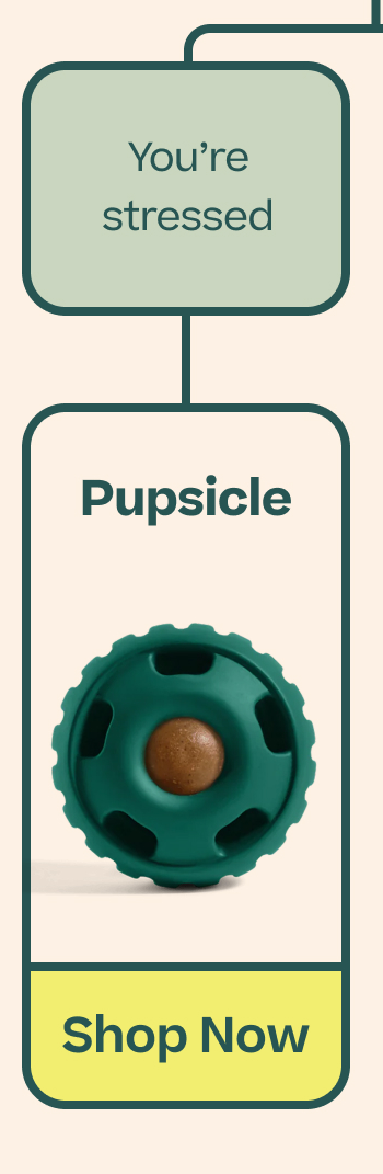You're stressed: Pupsicle
