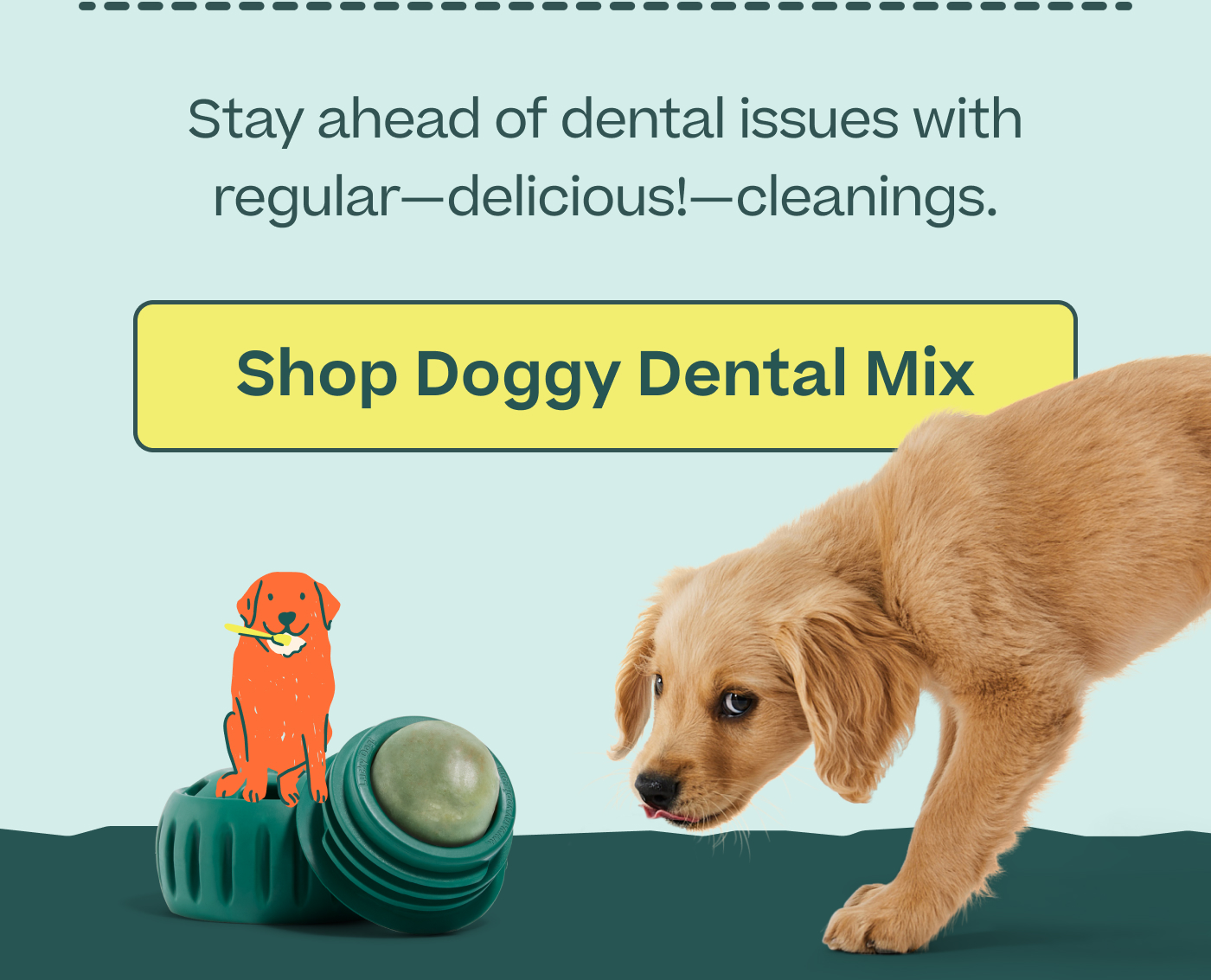 Stay ahead of dental issues with regular—delicious!—cleanings.  |  Shop Doggy Dental Mix