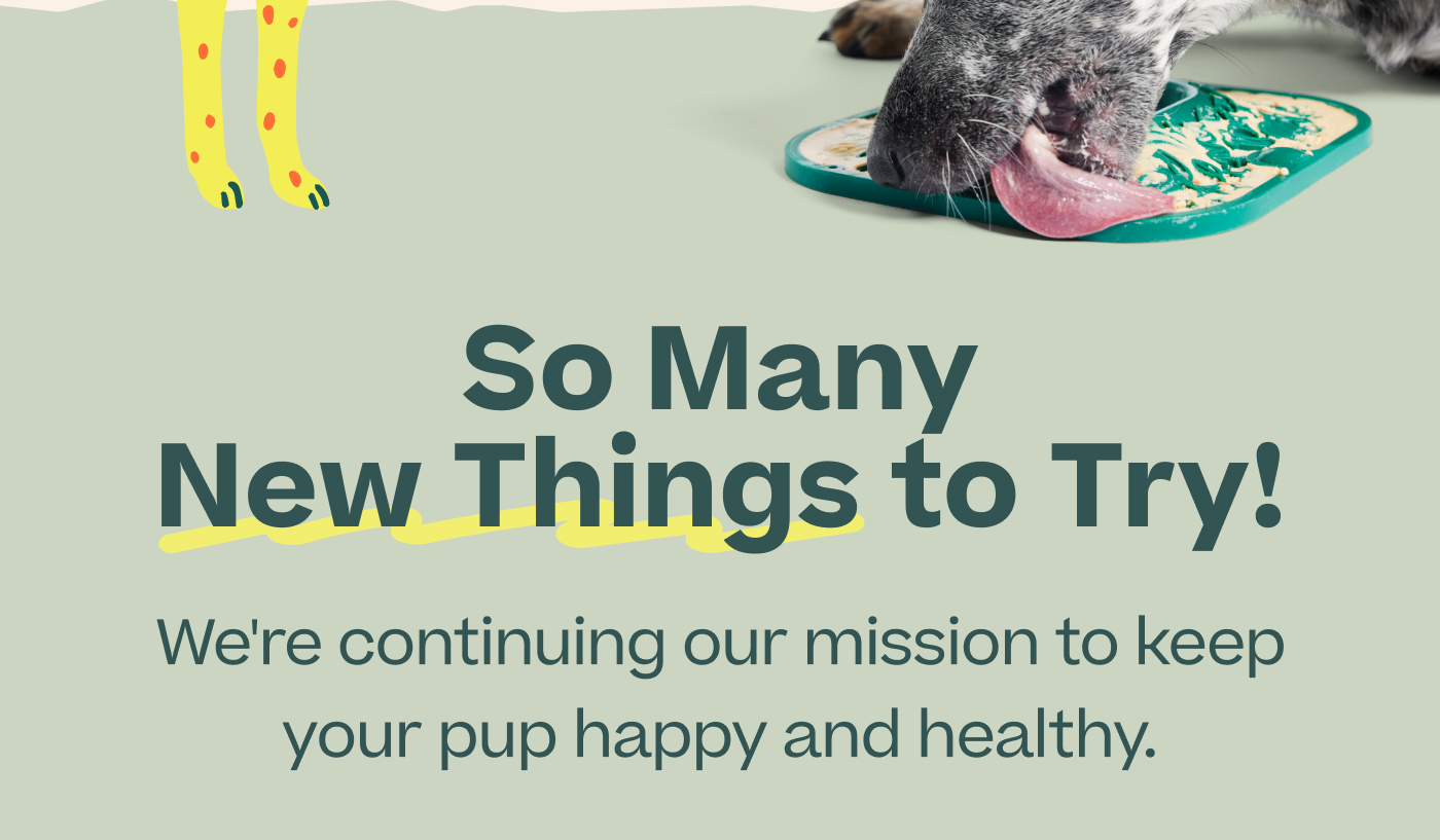 So Many New Things to Try! We're continuing our mission to keep your pup happy and healthy.