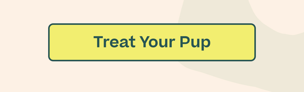 Treat Your Pup