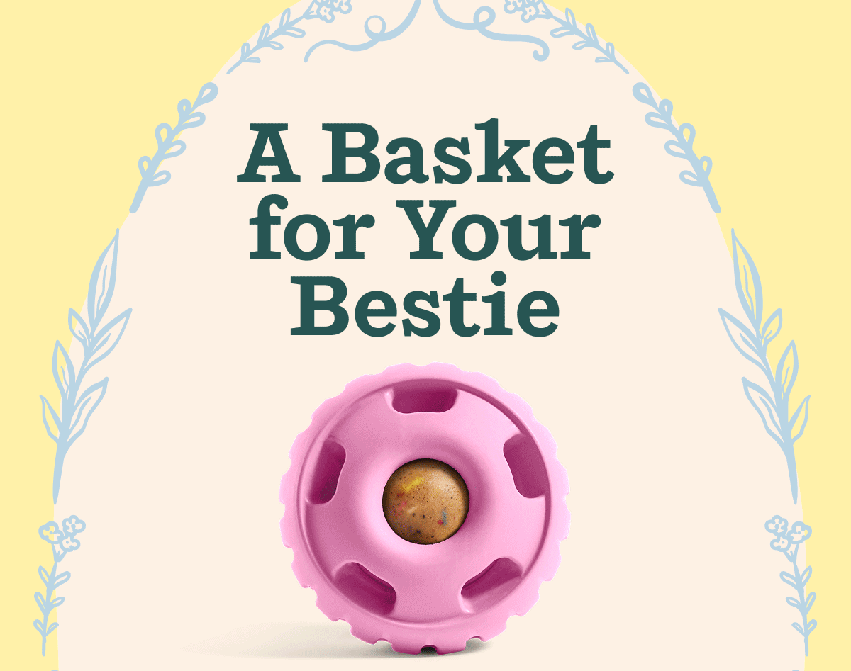A Basket for Your Bestie | Get 10% off orders $75+ plus a FREE Flyball | Shop Now