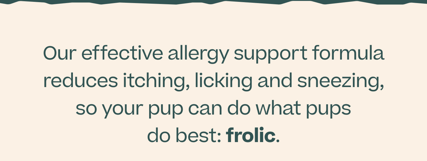 Our effective allergy support formula reduces itching, licking and sneezing, so your pup can do what pup's do best: frolic. 