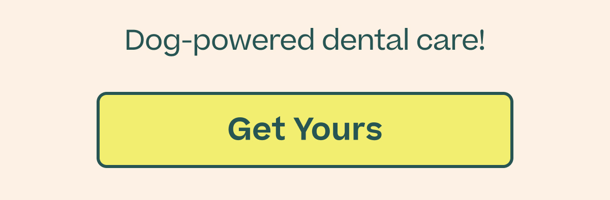 Woof | Get Your Bite n' Brush