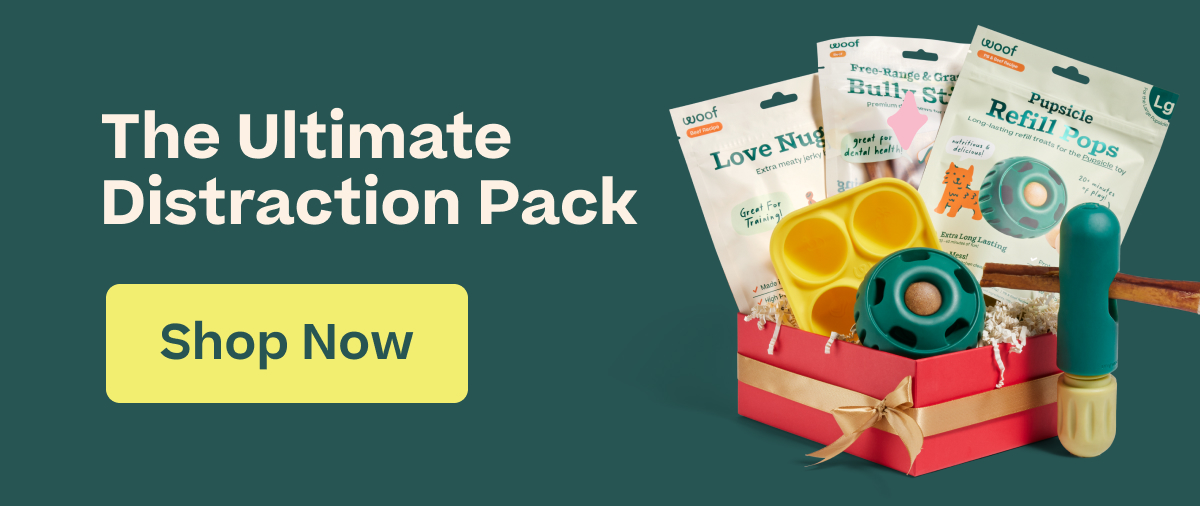 Woof | Your Pups Gift List - The Ultimate Distraction Pack - Shop Now