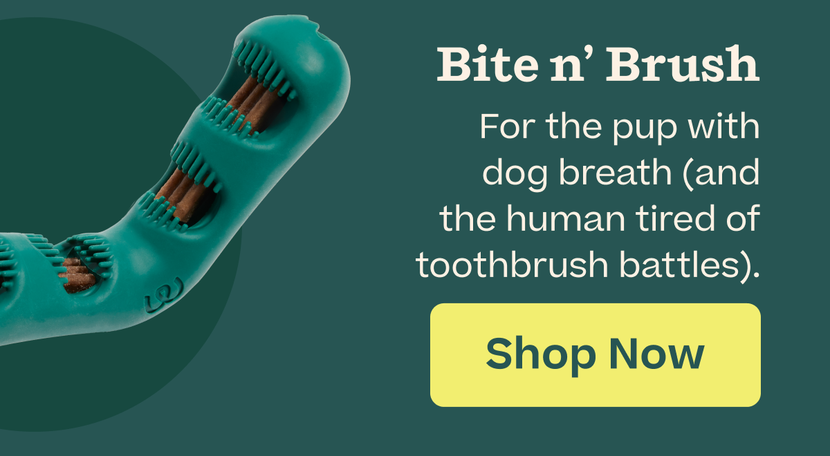 The Bite n' Brush | Shop Now