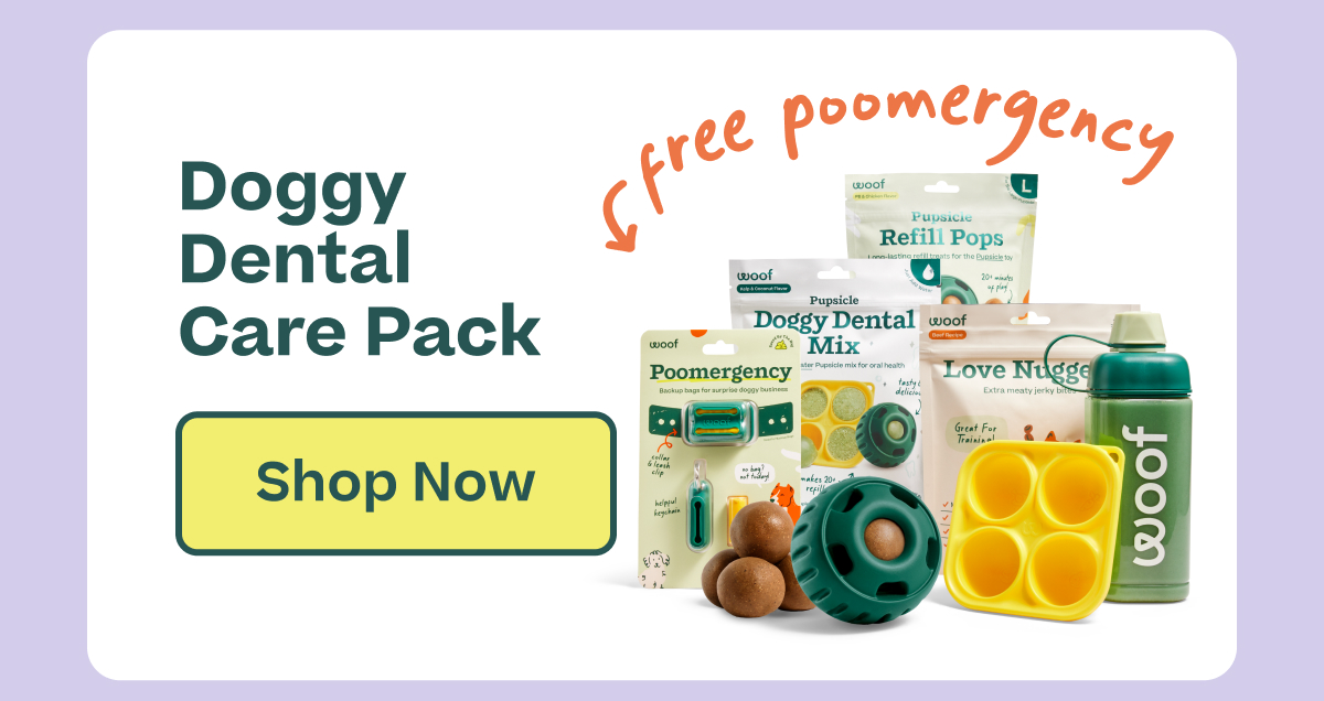 Doggy Dental Care Pack  |  Shop Now