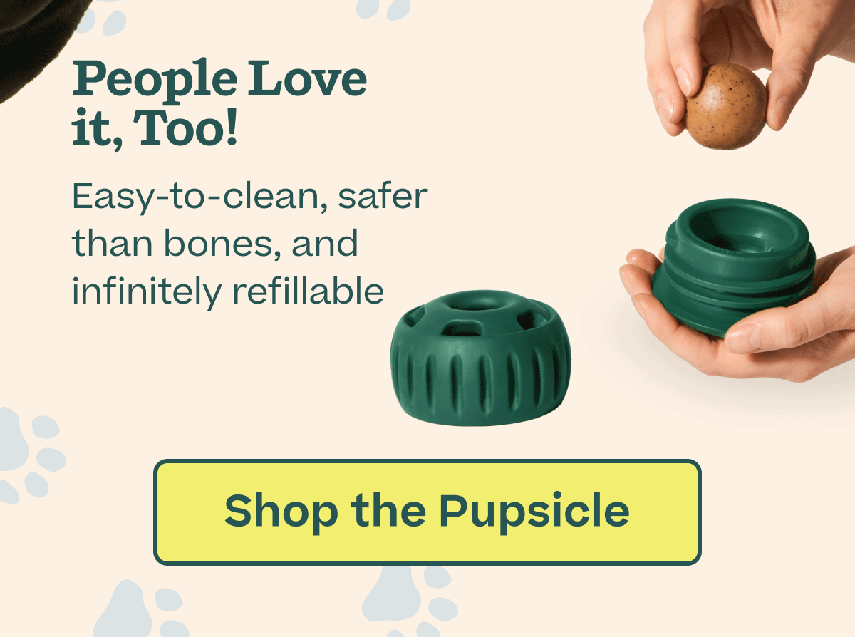 People Love it, Too!  |  Easy-to-clean, safer than bones, and infinitely refillable | Shop the Pupsicle