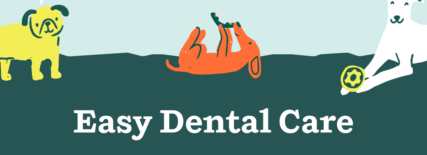 Easy Dental Care