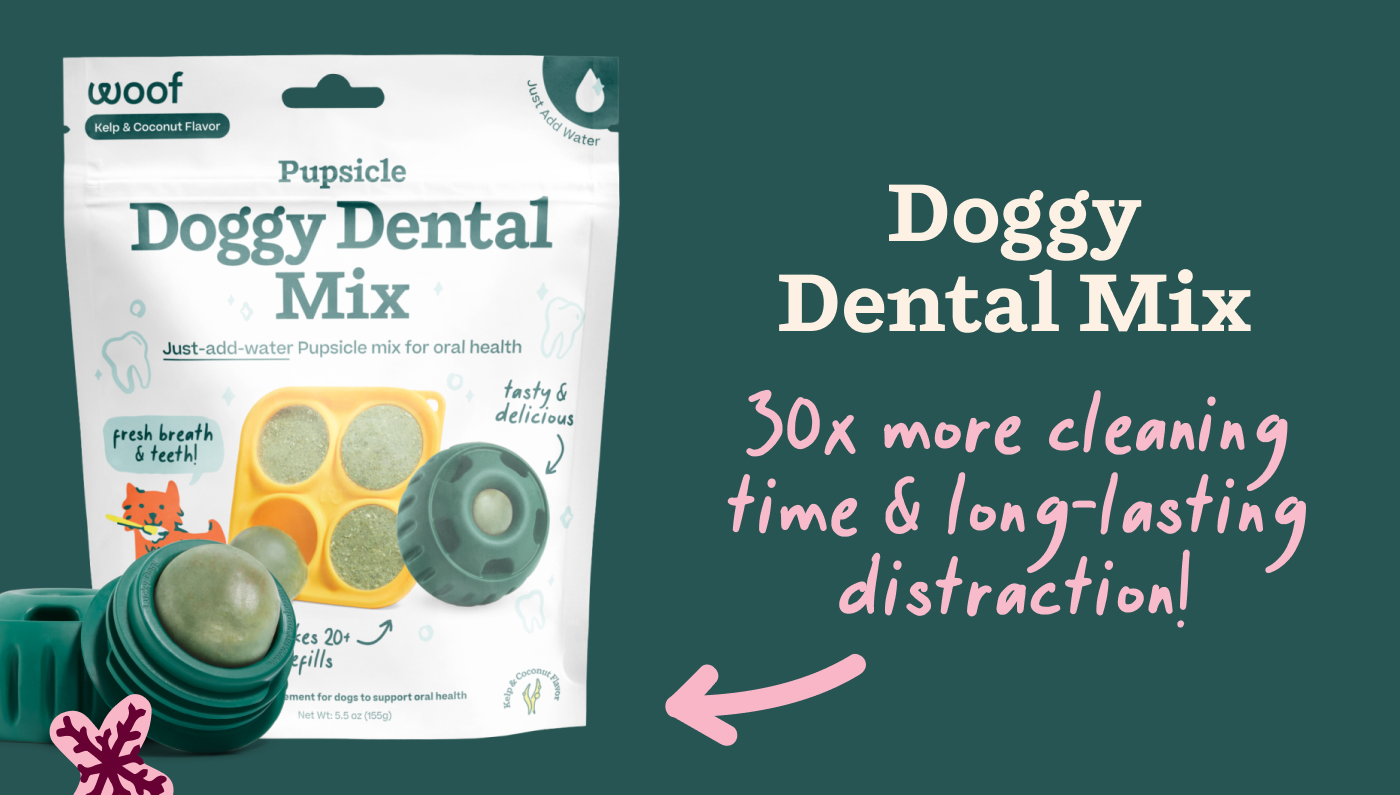 Doggy Dental Mix: 30x more cleaning time & long-lasting distraction!