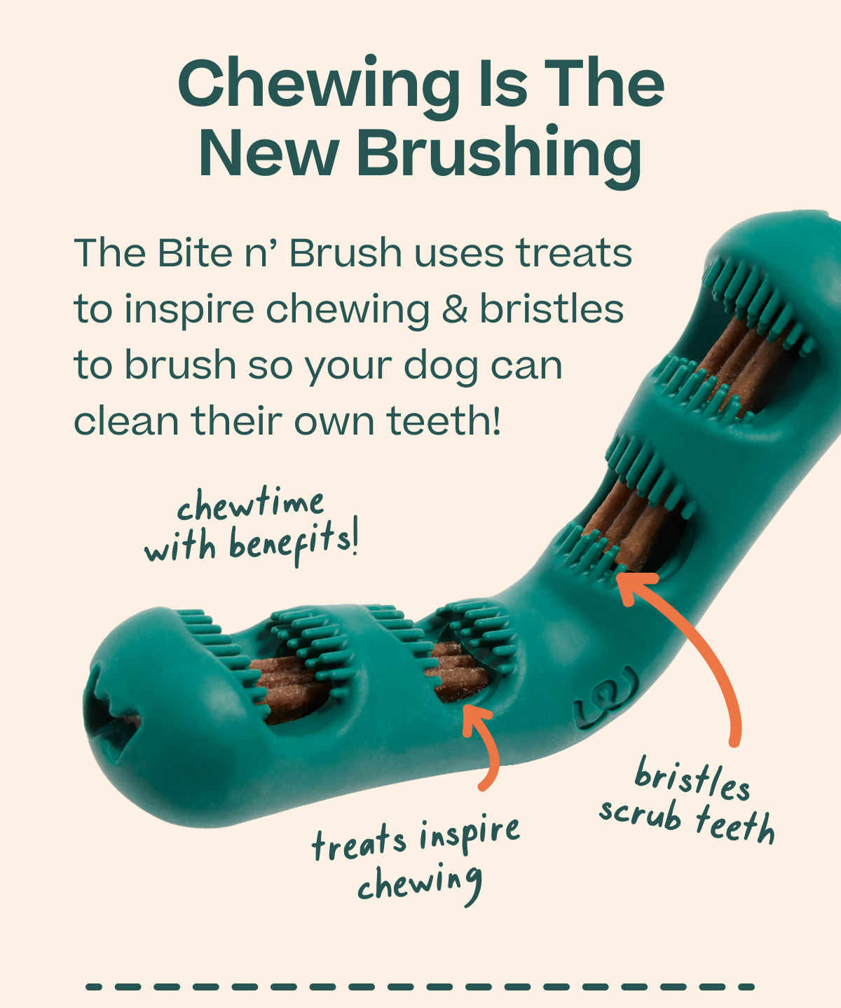 Woof | Chewing is the new brushing