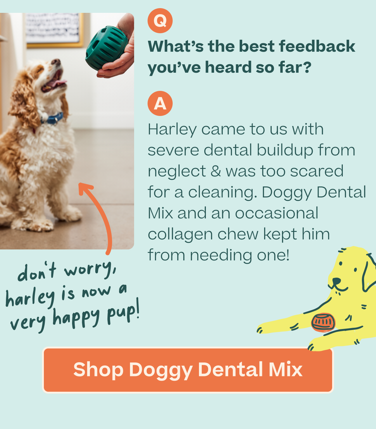 Shop Dental Mix 