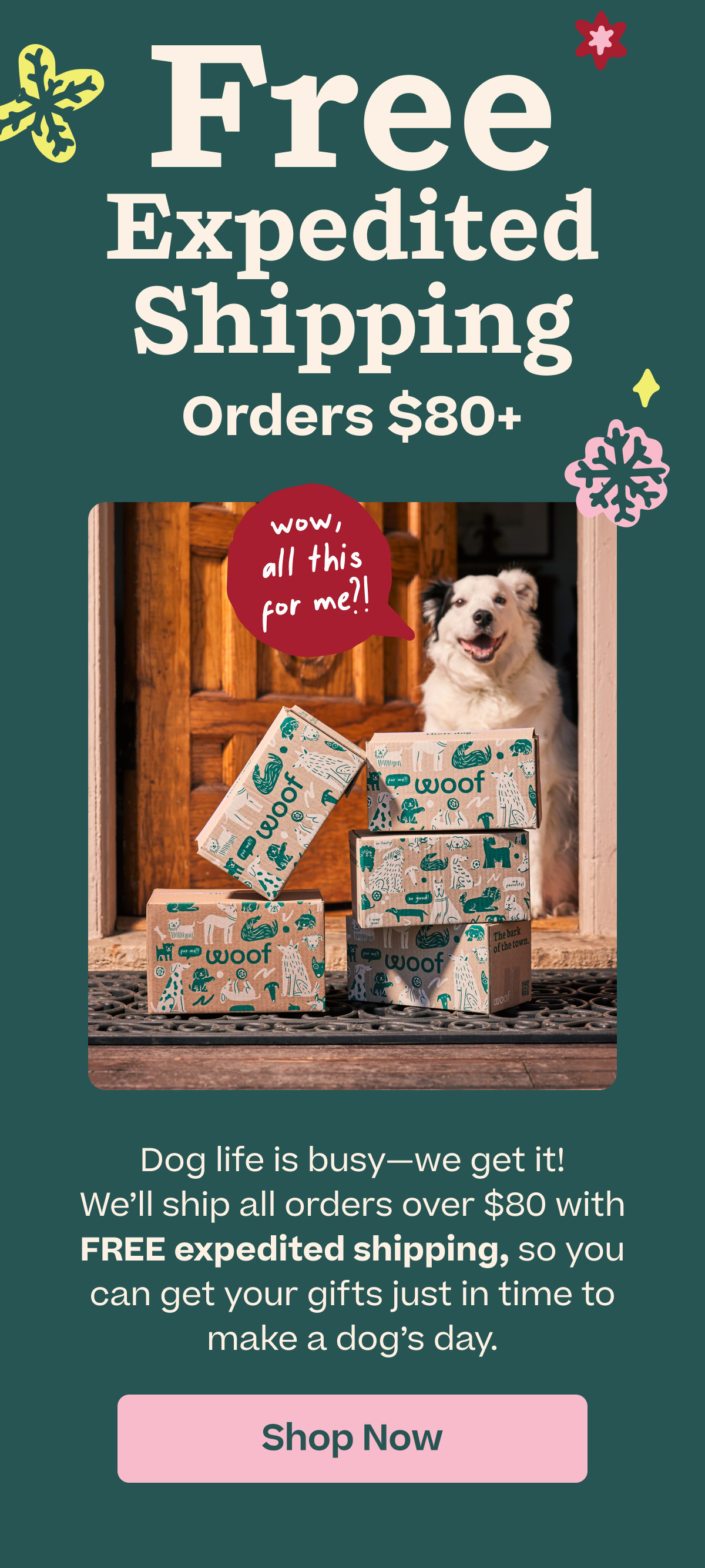 Woof | Free Expedited Shipping on Orders +$80 - Shop Now