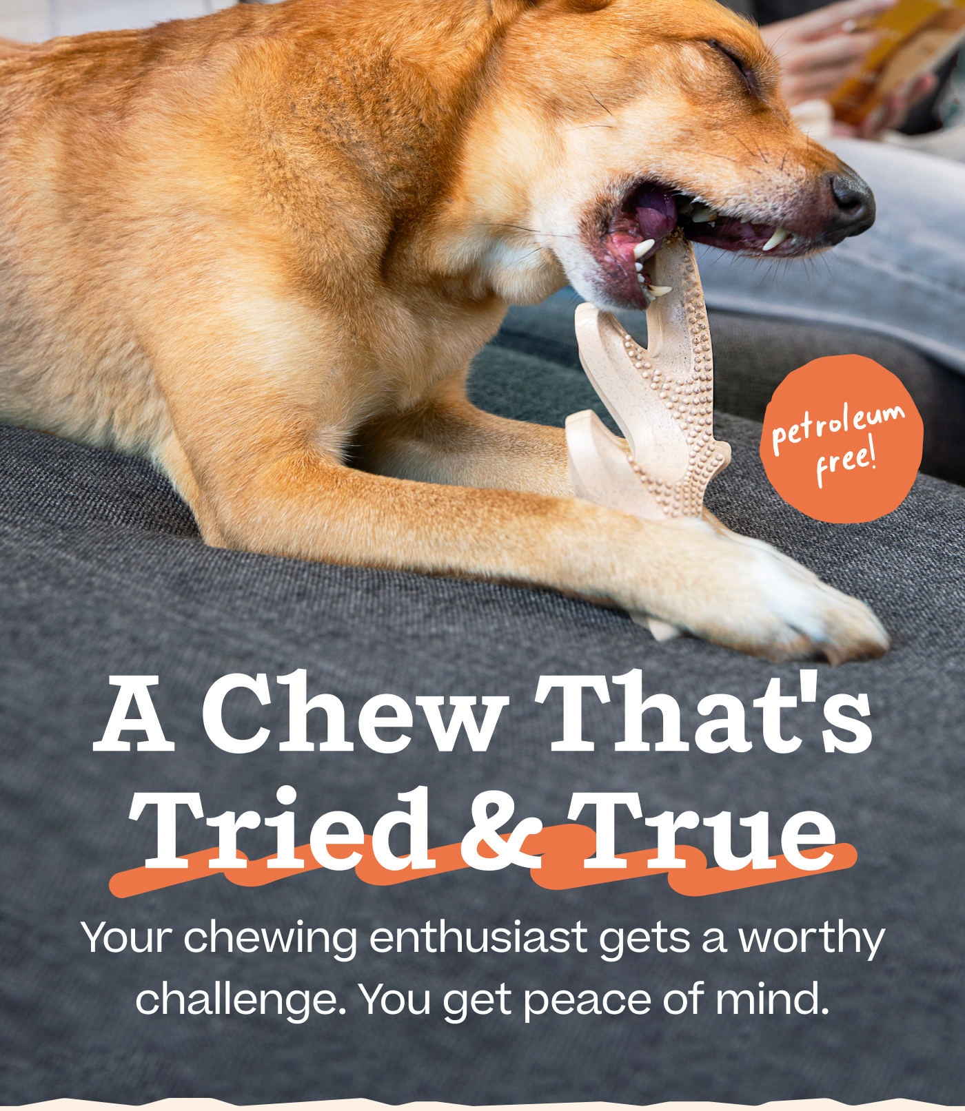 A Chew That's Tried & True.  Your chewing enthusiast gets a worthy challenge. You get peace of mind.