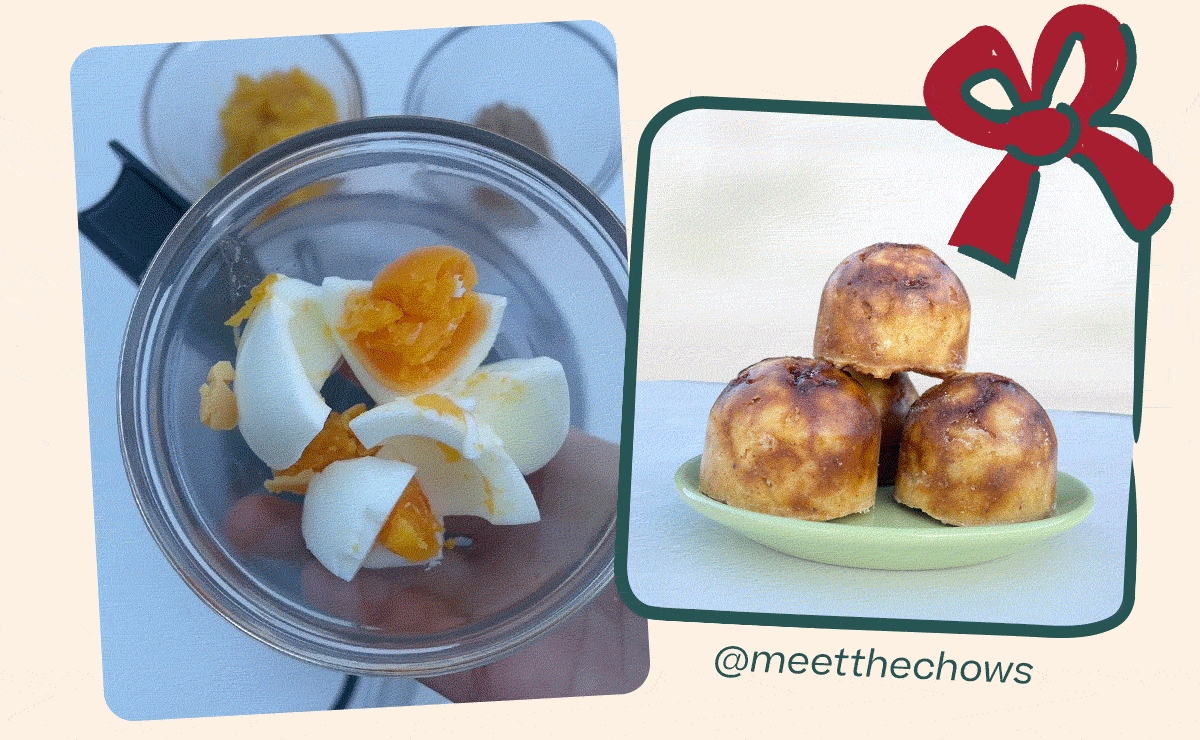 Woof | Holiday Pop Recipe - Ginger Molasses Cookie Pops