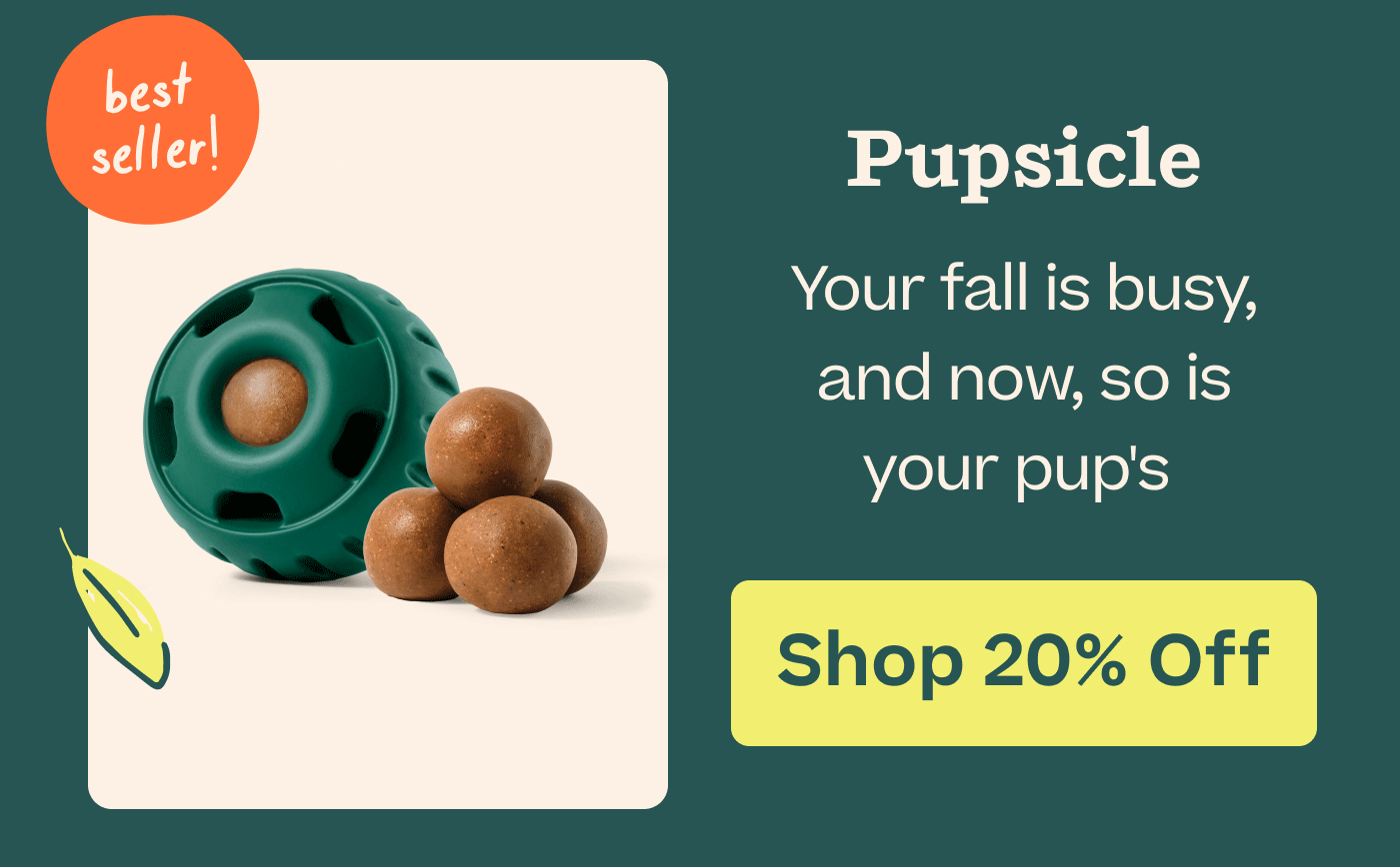 The Pupsicle: You're fall is busy, and now, so is your pup's  |  SHOP 20% Off