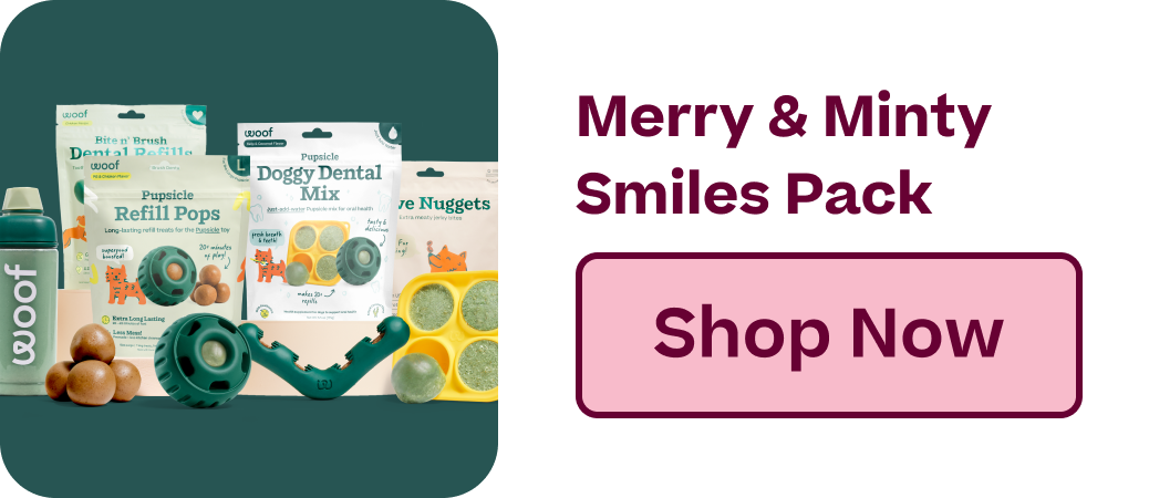 Merry & Minty Smiles Pack | Shop Now