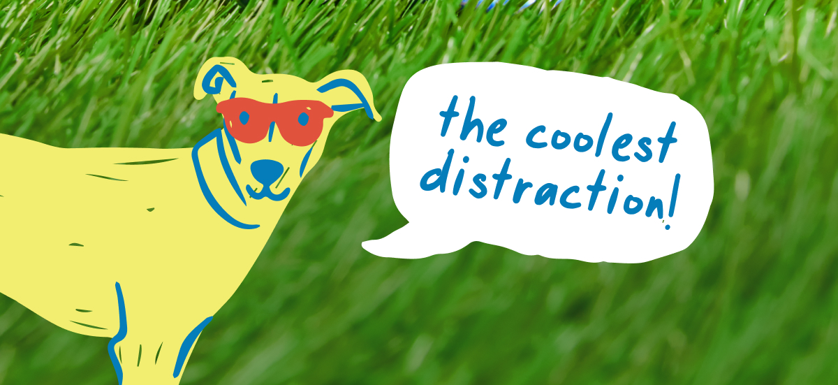 "the coolest distraction!"