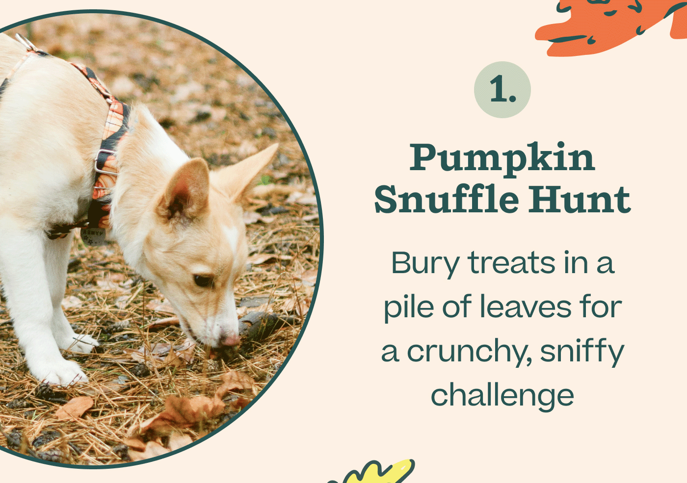 1. Pumpkin Snuffle Hunt Bury treats in a pile of leaves for a crunchy, sniffy challenge