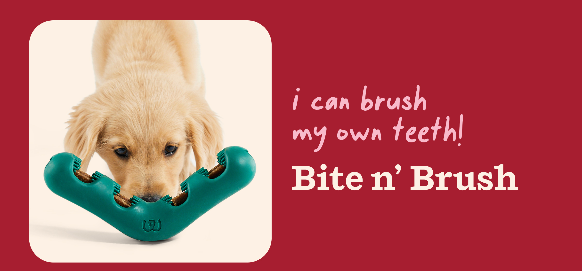 Bite n' Brush: so I can brush my own teeth