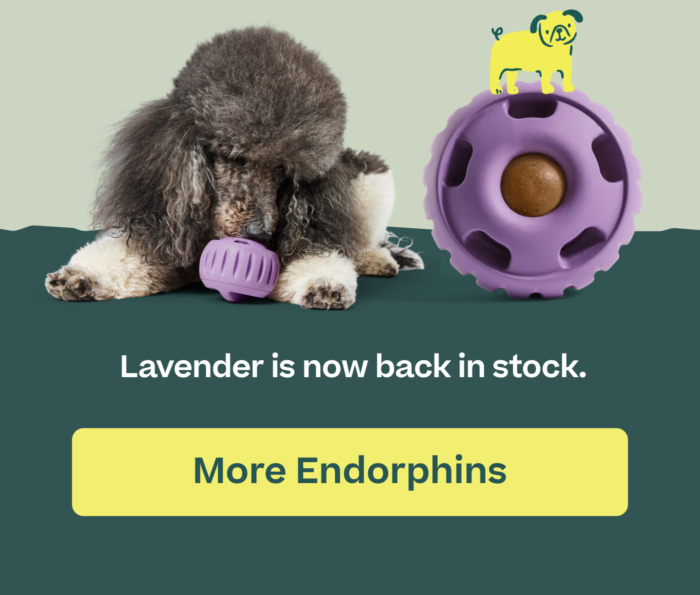 Lavender is now back in stock.  |  More Endorphins 