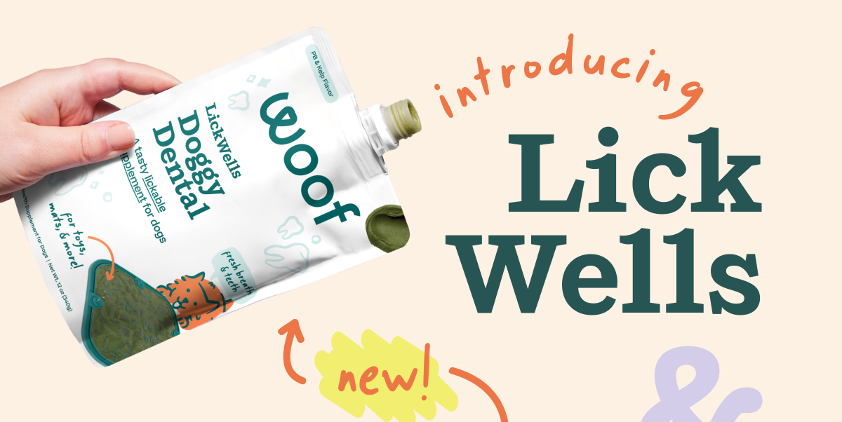 Introducing: LickWells & Flip Mat | Shop Now