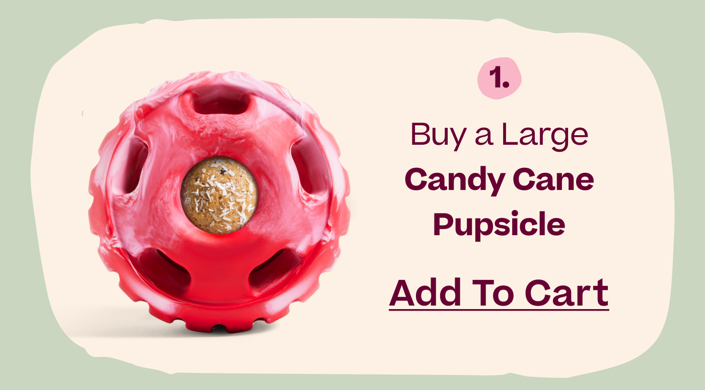 1. Buy a Large Candy Cane Pupsicle  |  Add to Cart
