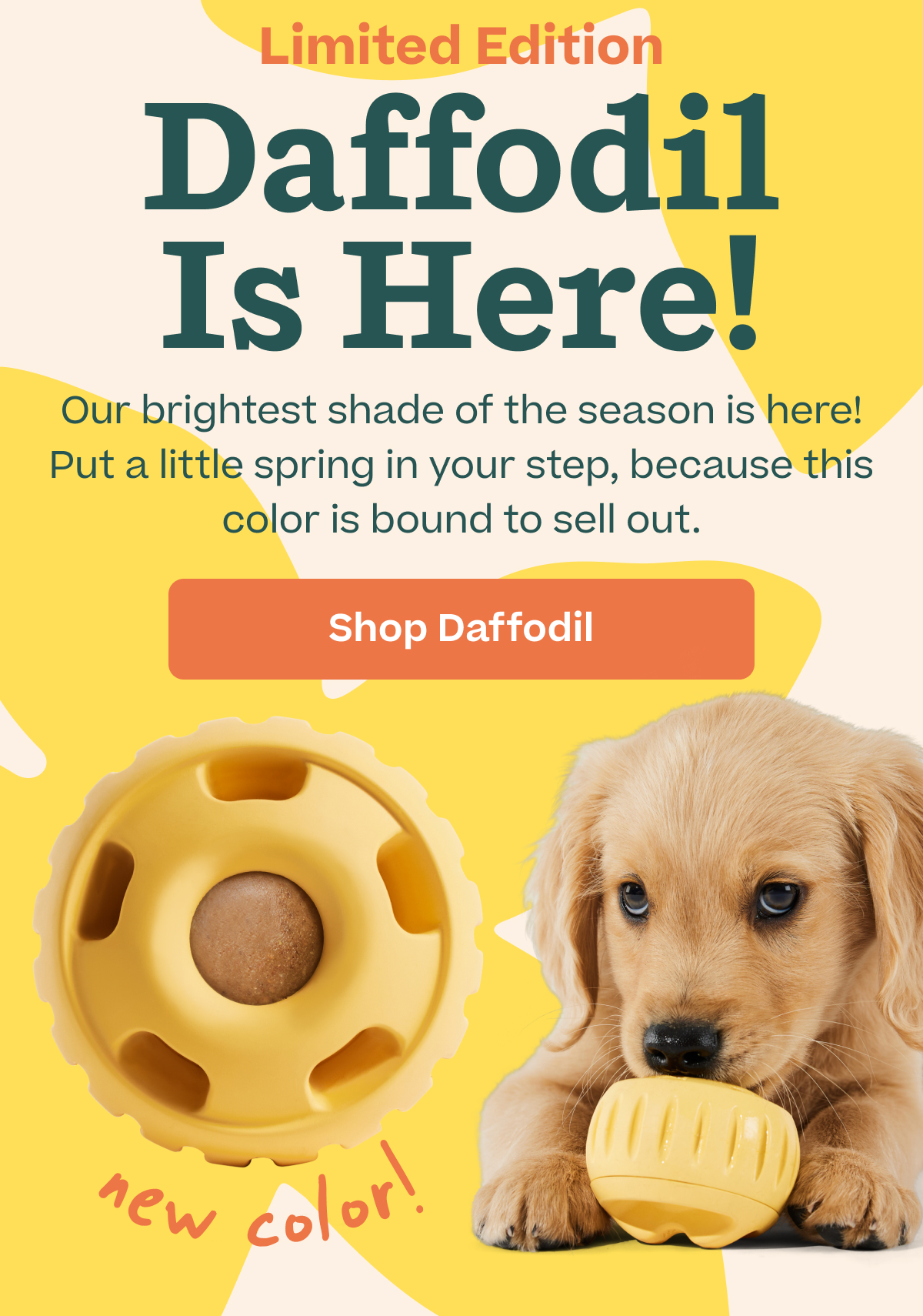 Woof | The Pupsicle - All new Daffodil - Complete your collection