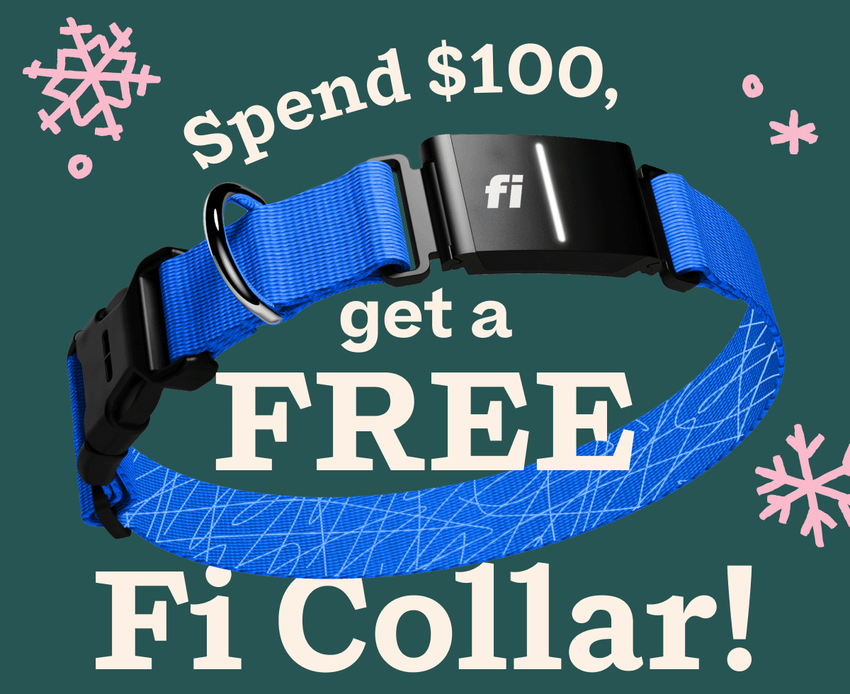 Spend $100, get a FREE Fi Collar!