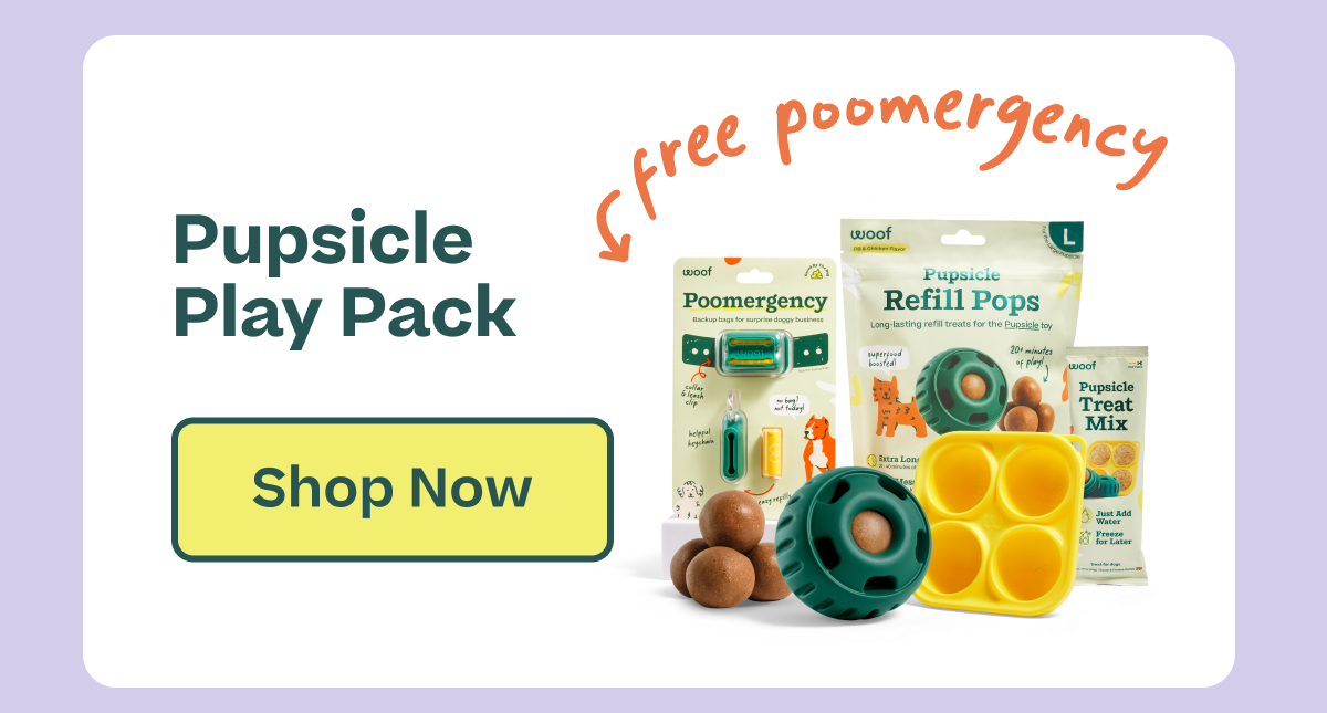 Pupsicle Play Pack  |  Shop Now