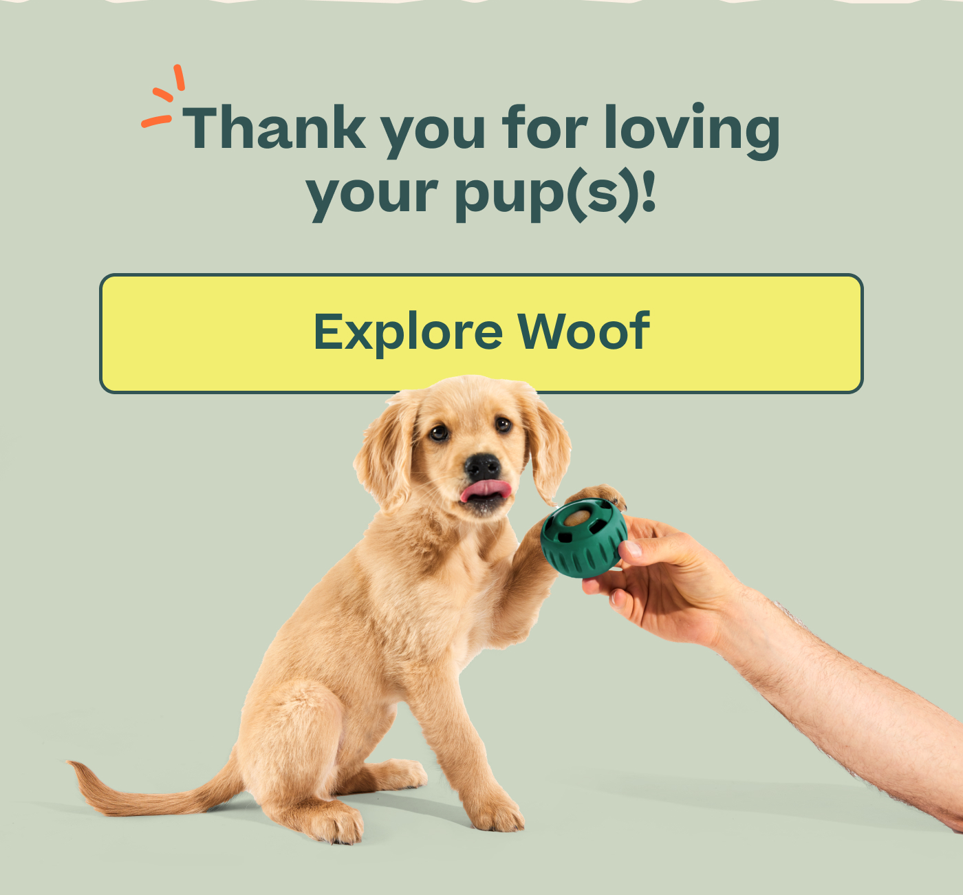 Thank you for loving your pup(s)!  |  Explore Woof