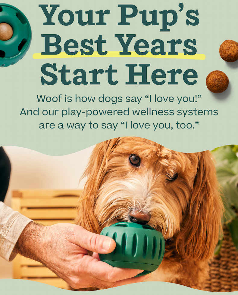 Your Pup's Best Years Start Here