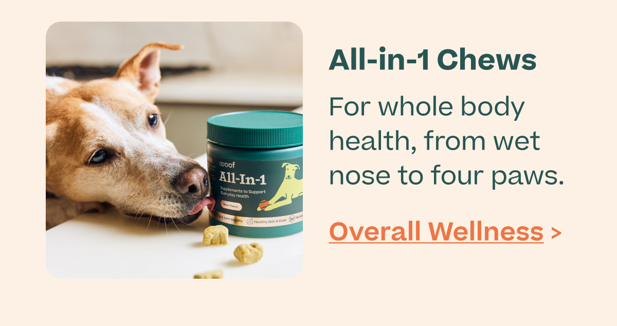 Woof | All-in-1 Chews - Shop Now
