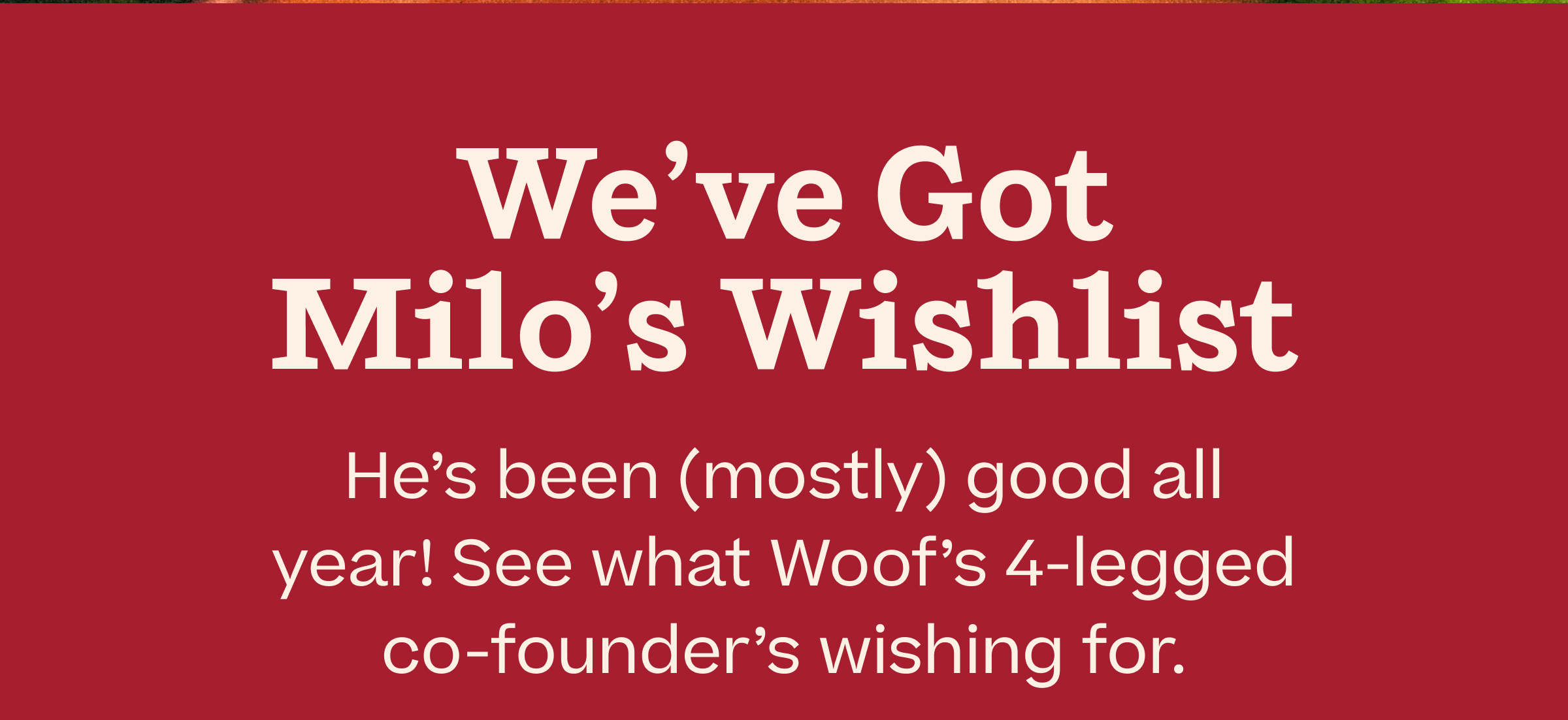 We've Got Milo's Wishlist. He's been (mostly) good all year! See what Woof's 4-legged co-founder's wishing for.