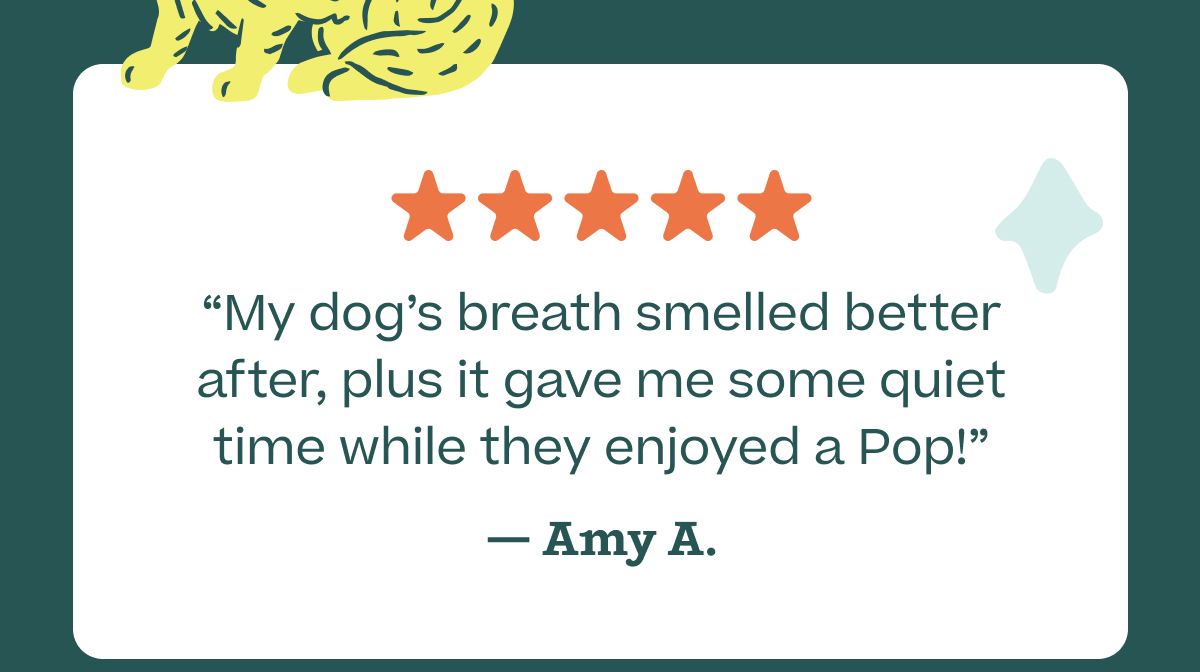 "My dog's breath smelled better after, plus it gave me some quiet time while they enjoyed a Pop!" - Amy A.